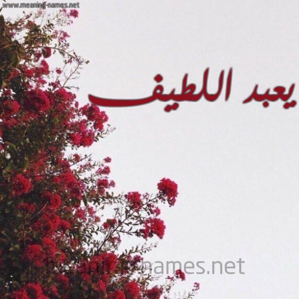 شكل 18 صوره الورد الأحمر للإسم بخط رقعة صورة اسم يعبد اللطيف Abdul-Latif